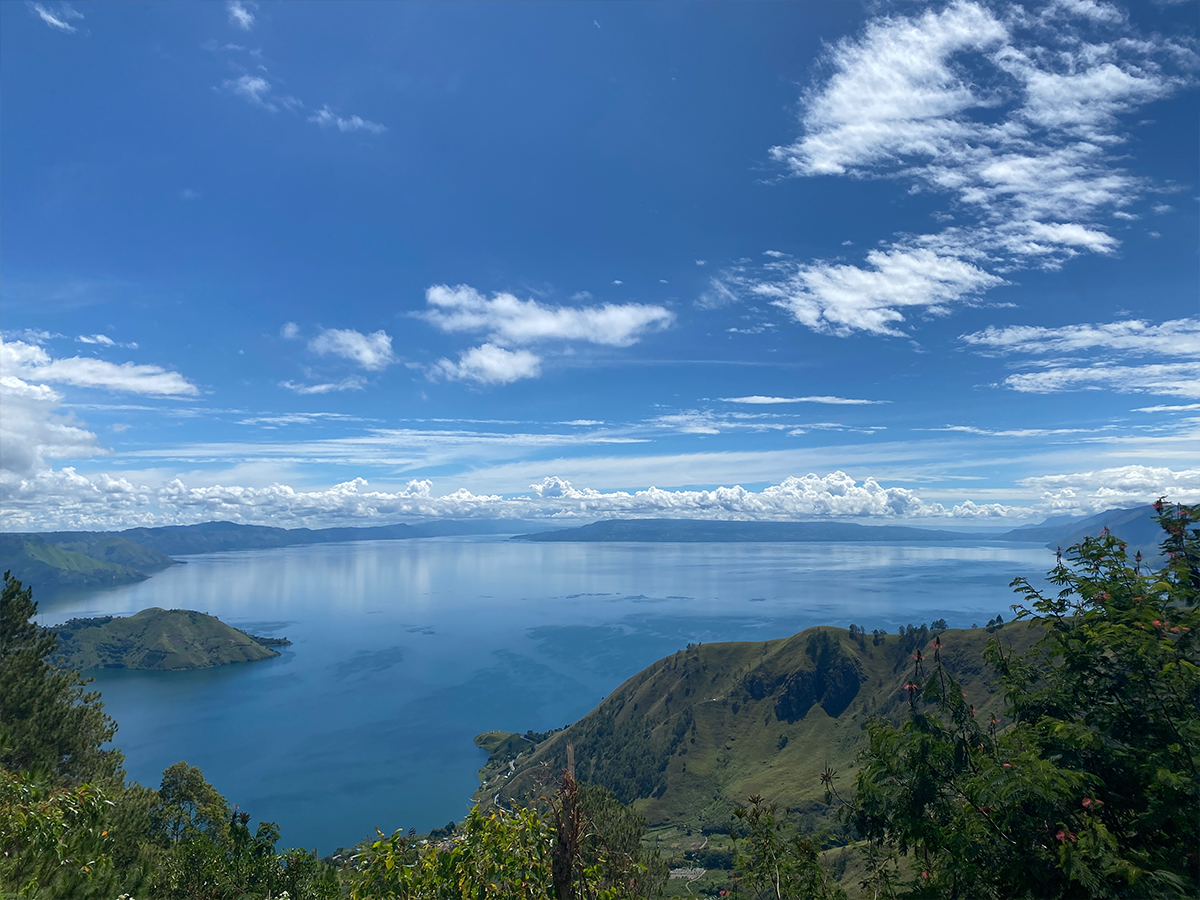 Indonesia Simalen MilkyMelon Infused Fermentation | 100g