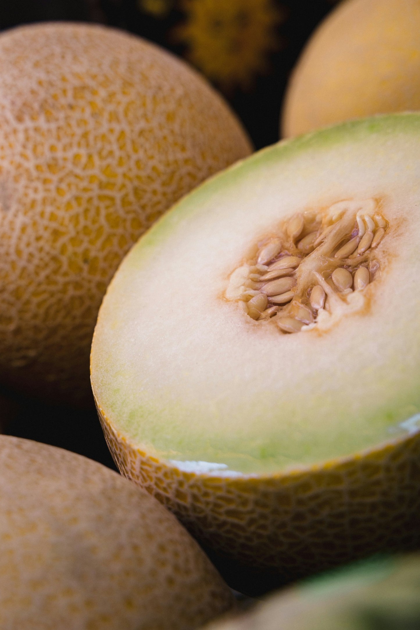 Indonesia Simalen MilkyMelon Infused Fermentation | 100g