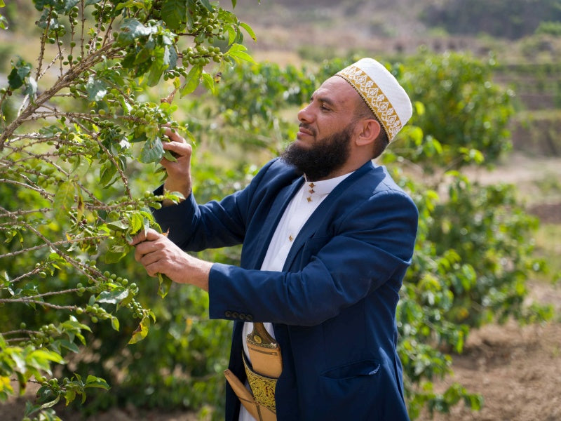 Yemen Mocha Haraz Farmers Gift | 100g