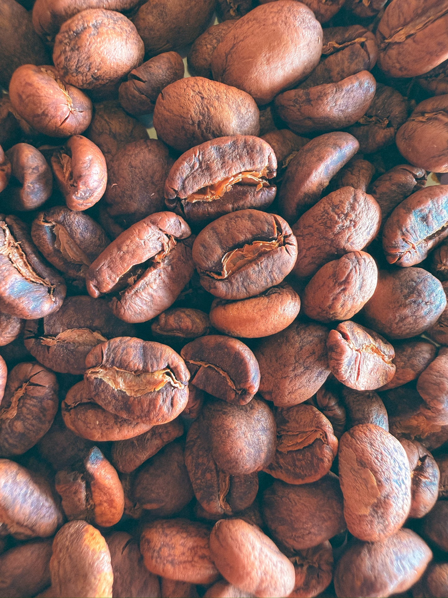 Indonesia Simalen MilkyMelon Infused Fermentation | 100g