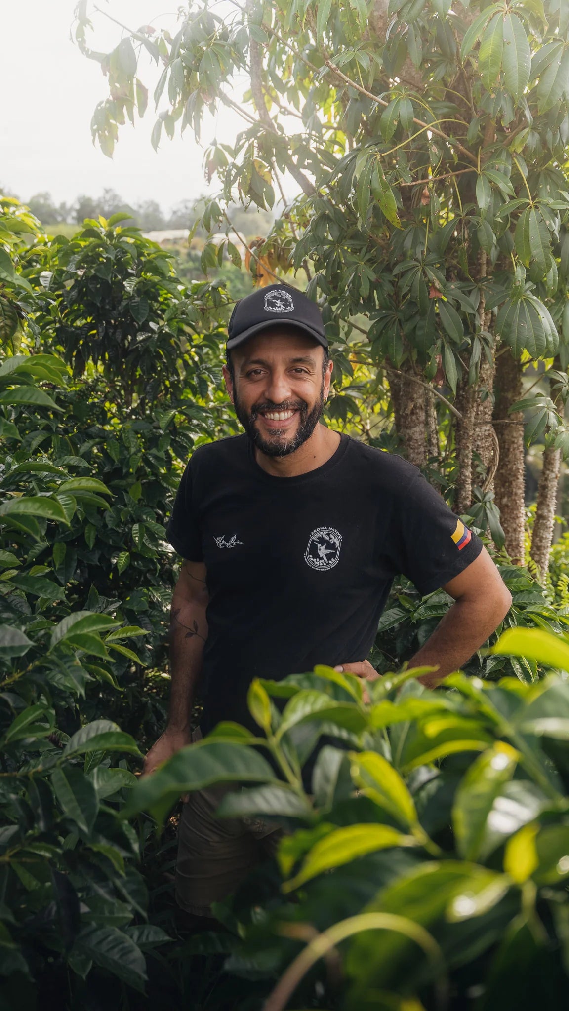 Colombia Aroma Nativo Pink Bourbon DF Honey | 100g